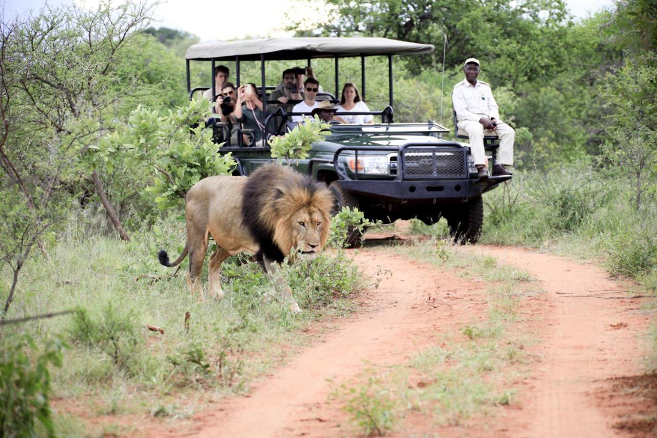 Karongwe Portfolio - Kuname Lodge Karongwe Game Reserve Ngoại thất bức ảnh