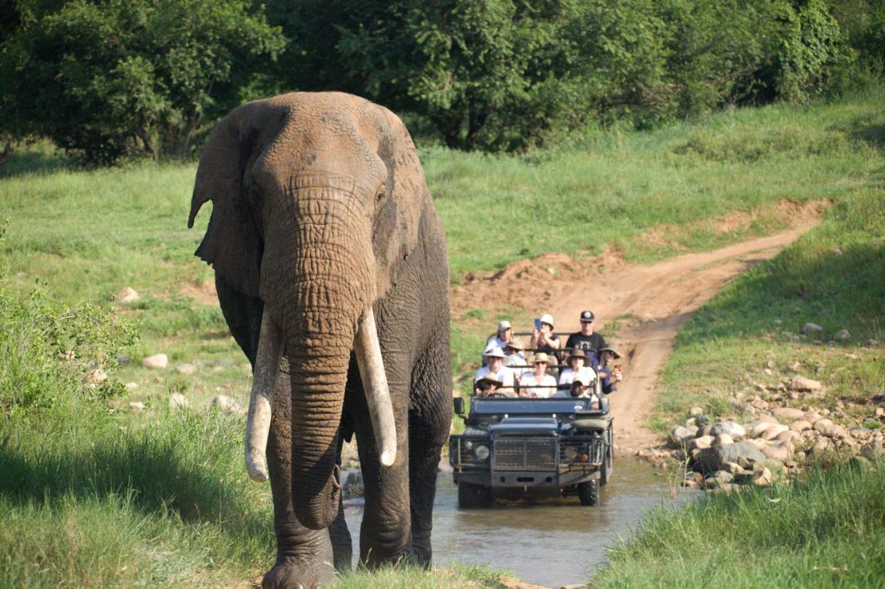 Karongwe Portfolio - Kuname Lodge Karongwe Game Reserve Ngoại thất bức ảnh
