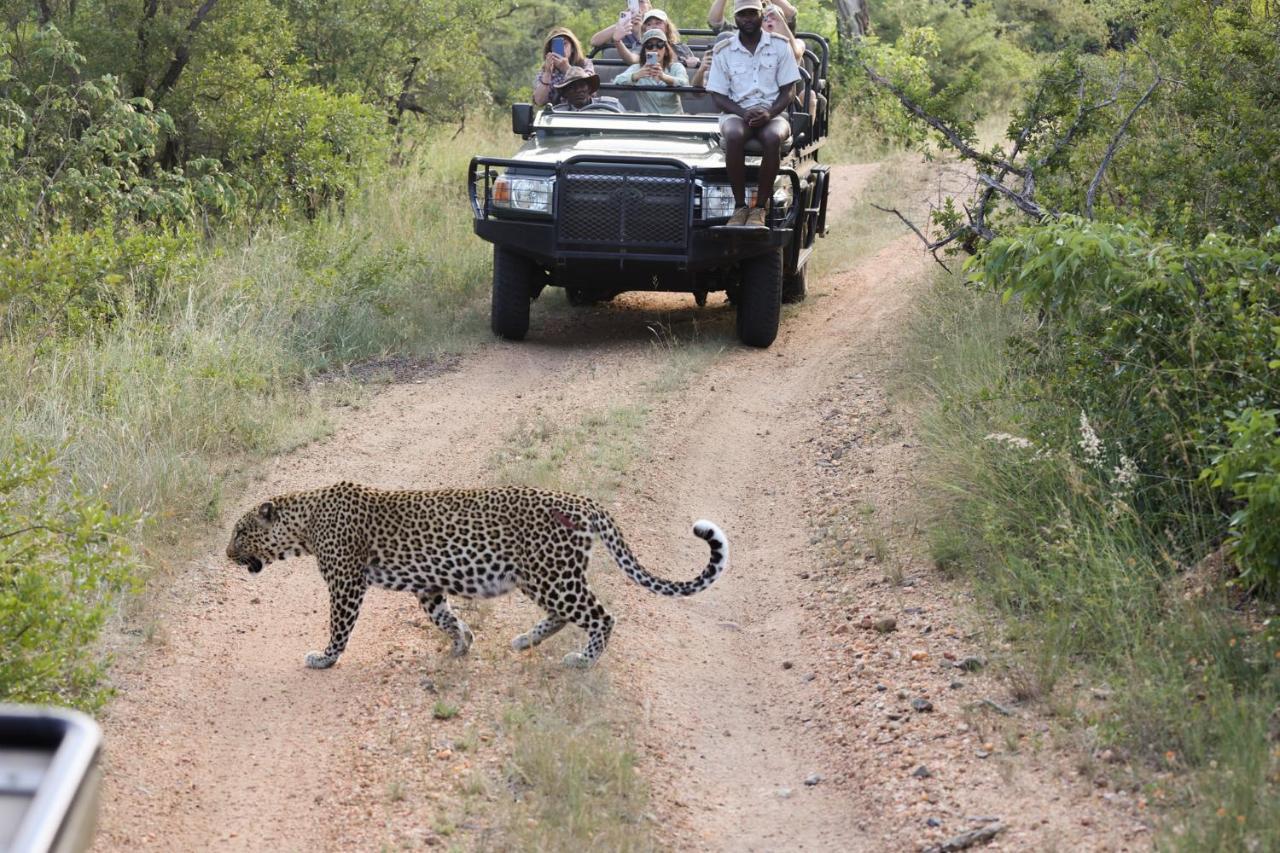 Karongwe Portfolio - Kuname Lodge Karongwe Game Reserve Ngoại thất bức ảnh