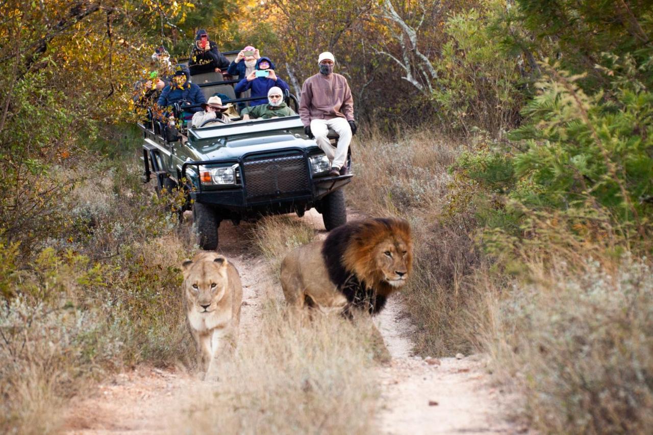Karongwe Portfolio - Kuname Lodge Karongwe Game Reserve Ngoại thất bức ảnh