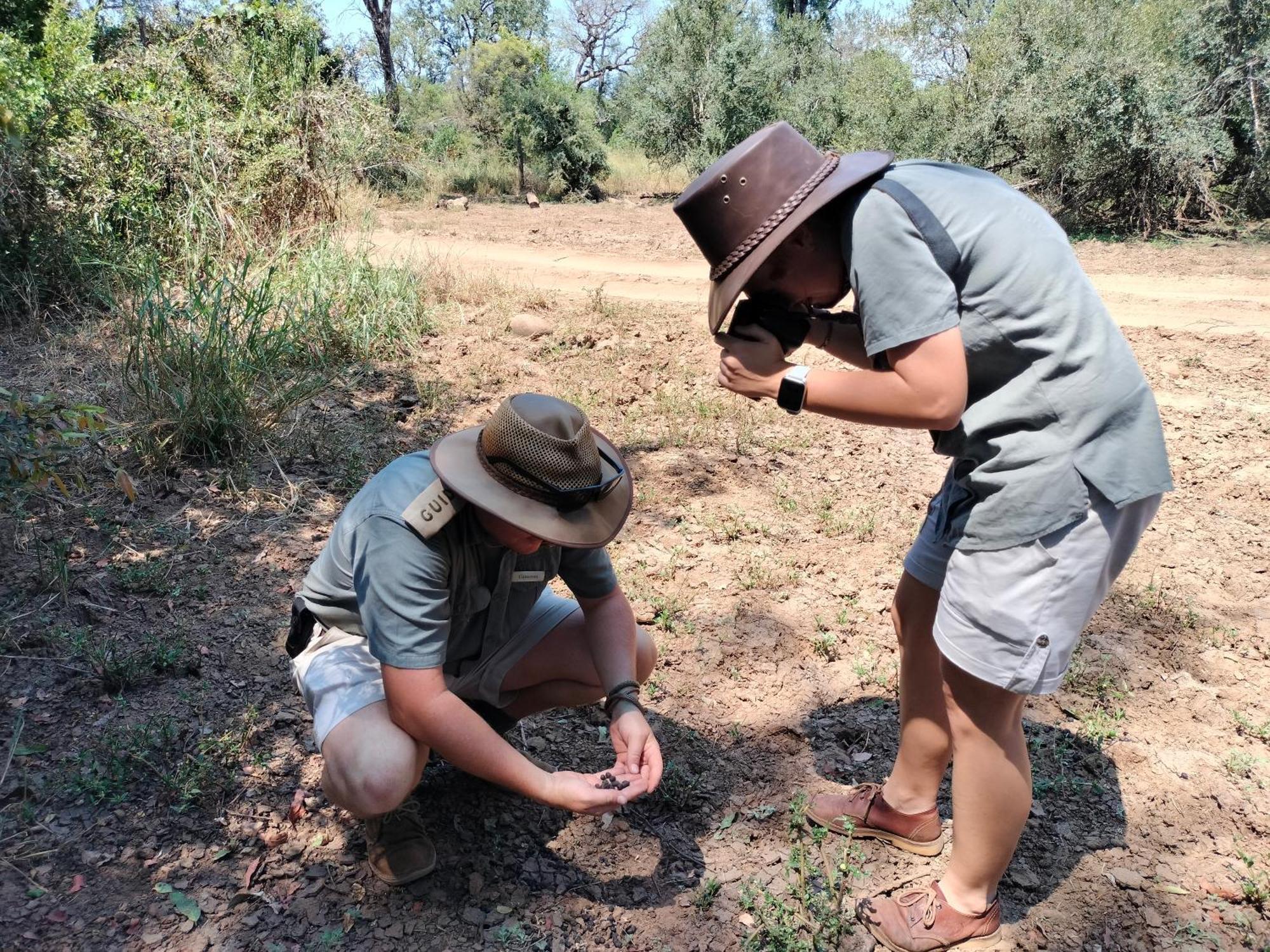 Karongwe Portfolio - Kuname Lodge Karongwe Game Reserve Ngoại thất bức ảnh